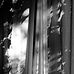 Fotografie Natalie Truchsess Komorebi Monovisions Honorable Mention