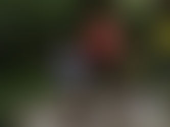 Winter running, cross-country and trail running.