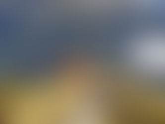 Your retirement options, what choice do you prefer