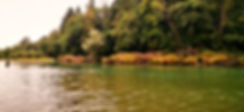 IMG-20220717-WA0008_edited.jpg