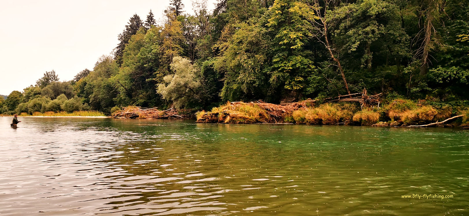 IMG-20220717-WA0008_edited_edited.jpg