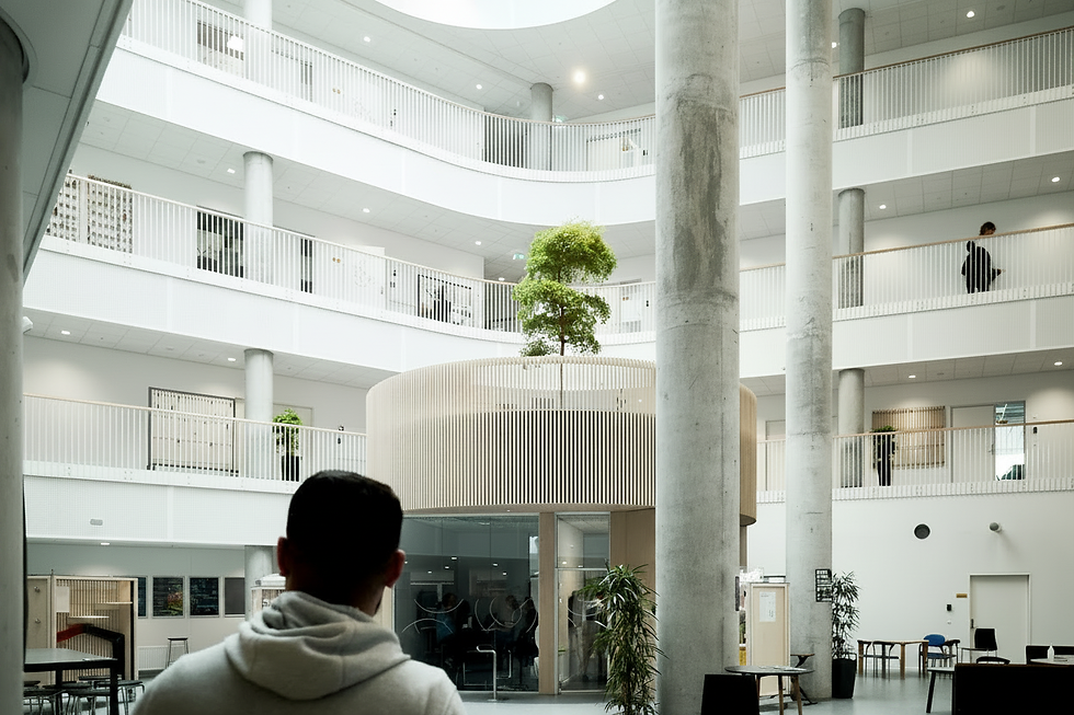 Modern white atrium with concrete pillars and indoor tree