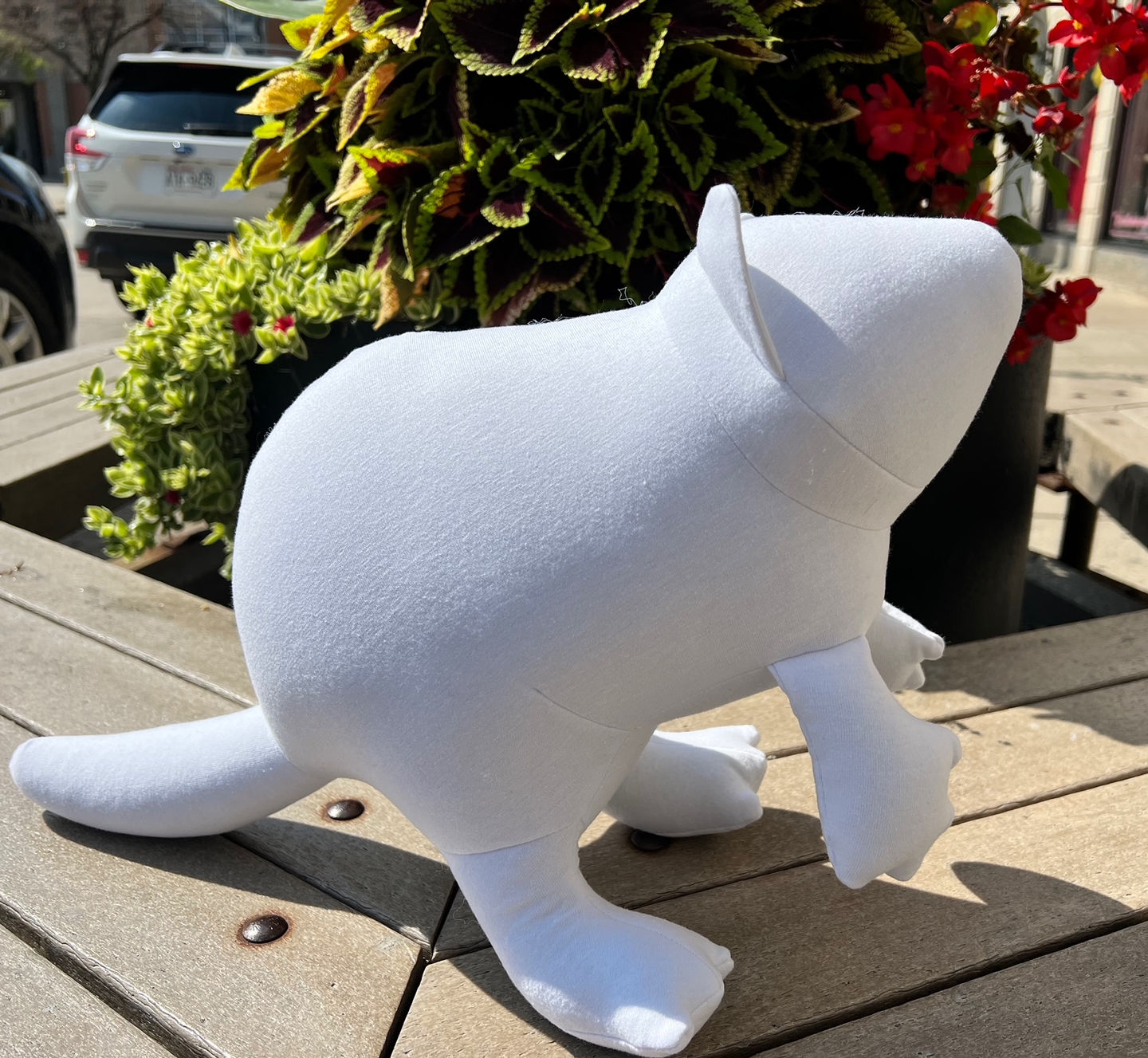 372901933_264481766533785_4246270274999773211_n