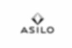 Asilo Brand Kit