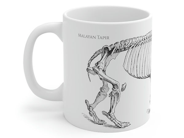 mug dinosaur skeleton tapir