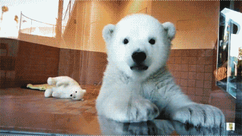 7427ea21094f15af027527.gif