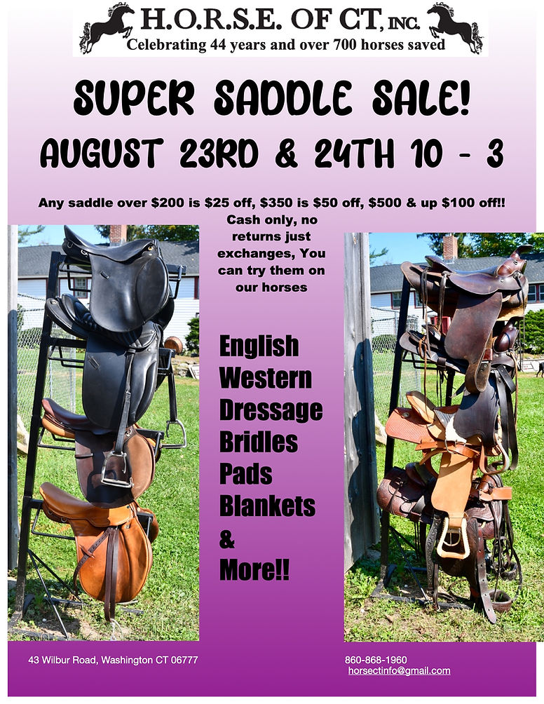 Saddle Sale.jpg