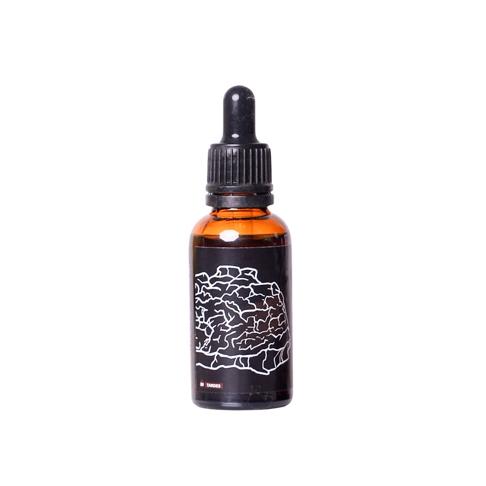 Miniatura: Chaga -  Inonotus Obliquus