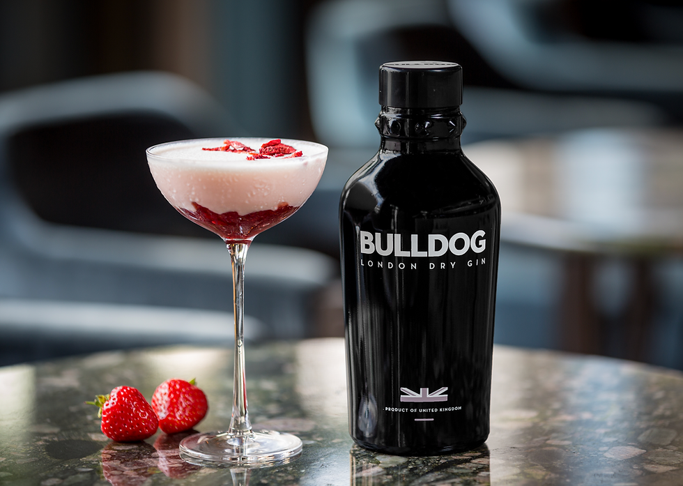 GIN_BULLDOG.png