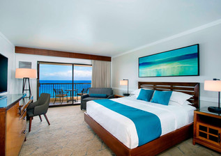 hnmsi-ocean-guestroom-4648-hor-clsc.jpeg