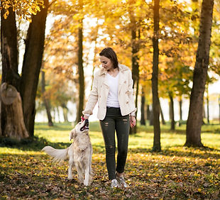 dog in the park.jpg