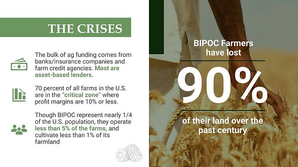 Potlikker_Pitch_deck.pptx (4).jpg