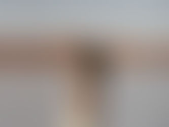 Alyssa Faith Photography