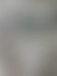 Master Bathroom Remodel in Odessa, FL