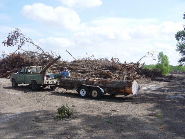 pecan logs5806.jpg