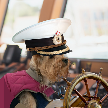 Mozart, the Ship captain