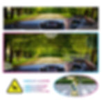 Driver assistance system: Hazard alerts, animal and mobile detection