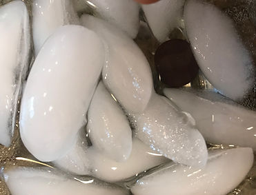 pic of magnet in ice.jpg