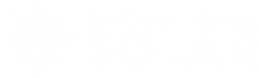 logo BMS 2 BYN.png