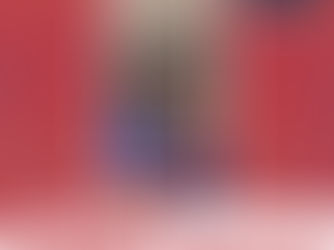 The Toasted Baguette:  The sandwich you didn't know you needed!