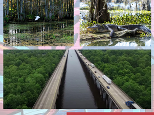 The Story: The Atchafalaya Basin