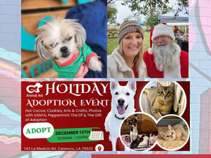 Acadiana Animal Aid Holiday Adoption Event