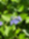 C4E8D7AB-2E1B-45AE-A717-E8F07A53842A_1_105_c.jpeg