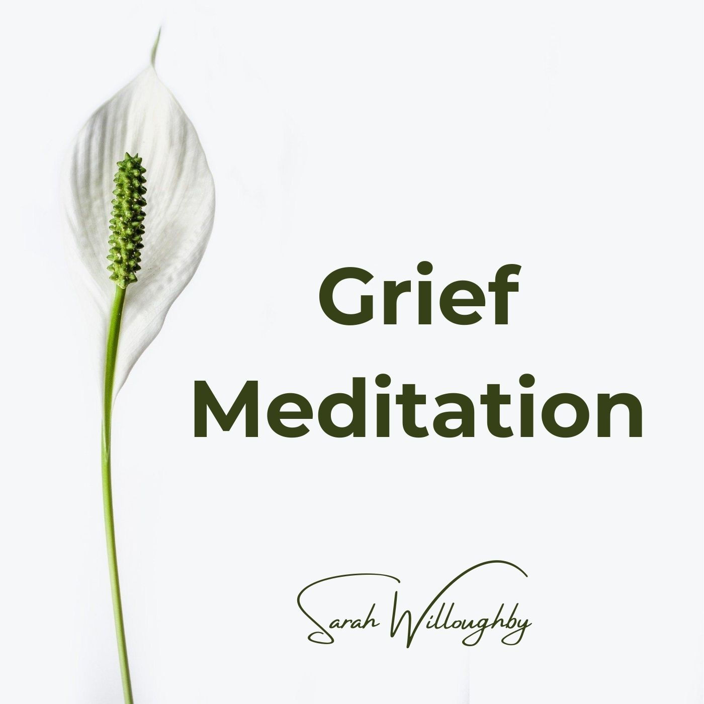 Grief Meditation - Connecting With Your Loved Ones