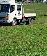 Cultivo de zacate tipo dulce listo para cosecha, producido por Zacate y Vivero Araya en Costa Rica.