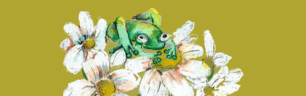 Sobre Mexericas- um livro ilustrado (1)_edited.jpg