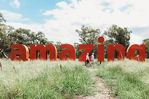 Amazing by Rosie Johnston & Forbes Community.JPG