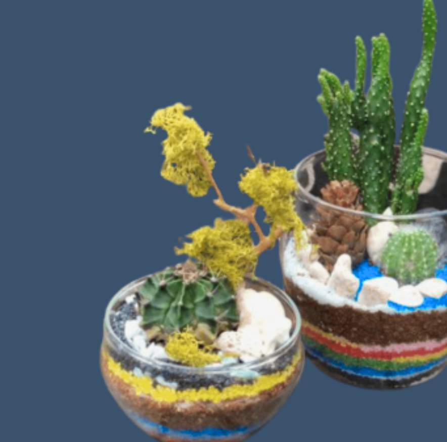 Small World Terrariums