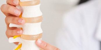 chiropractor-spine.jpg