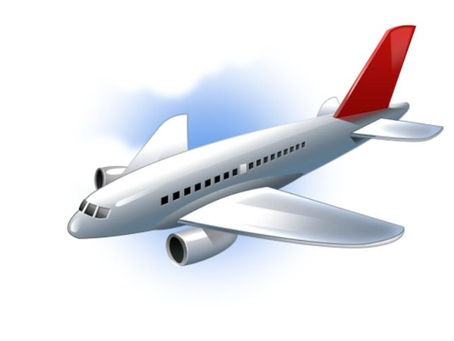 An Overview of Japan Airlines' Operations and the Traveler Experience at Kennedy