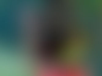 Mariposa polinizando. Fotografía por David Clode.