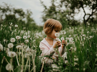 Little girls among dandelions. Photo by Arseny Togulev.