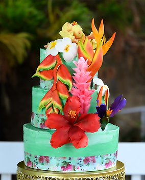 210928_0004-1 (small).png