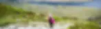 julie.webp