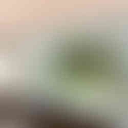 Cucina con anta fissa tuttovetro