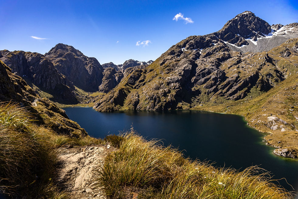 Majestic view of Lake Harris nestled among rugged mountain peaks along the Routeburn Track, under a clear blue sky.