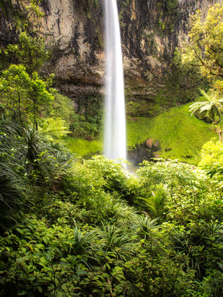 North Island Landscapes