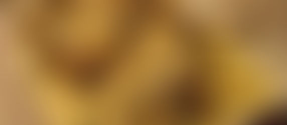 Lapin à la moutarde