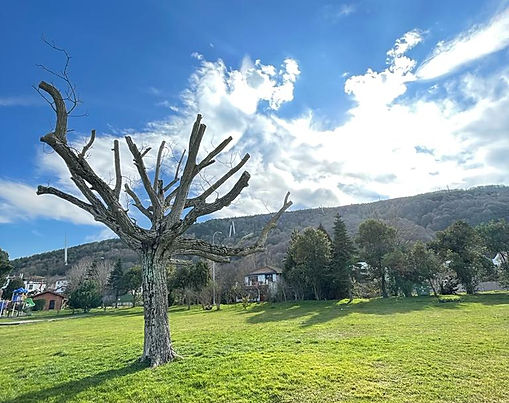 Bağdat Street Walking Path