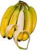To Blad - A Buncha Bananas.png