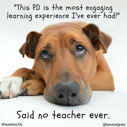 Puppy with sad face. Text reads: This PD is the most engaging learning experience I've ever had!...Said no teacher ever.