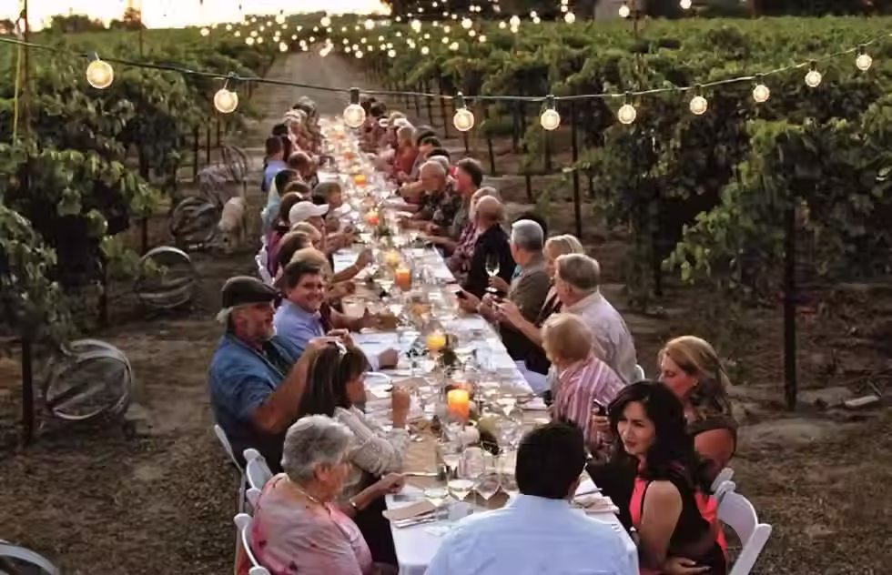 vinhas do Chianti com degustação de vinhos e jantar