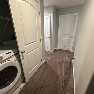 Move-In/Out Clean