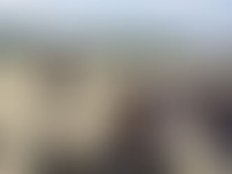 「夏季瀬谷区」初戦結果＆「地域公開教室」【写真追加】