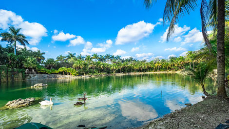 Lake 2.jpg