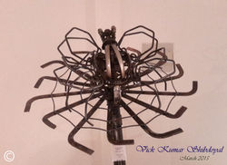 spider copyritd